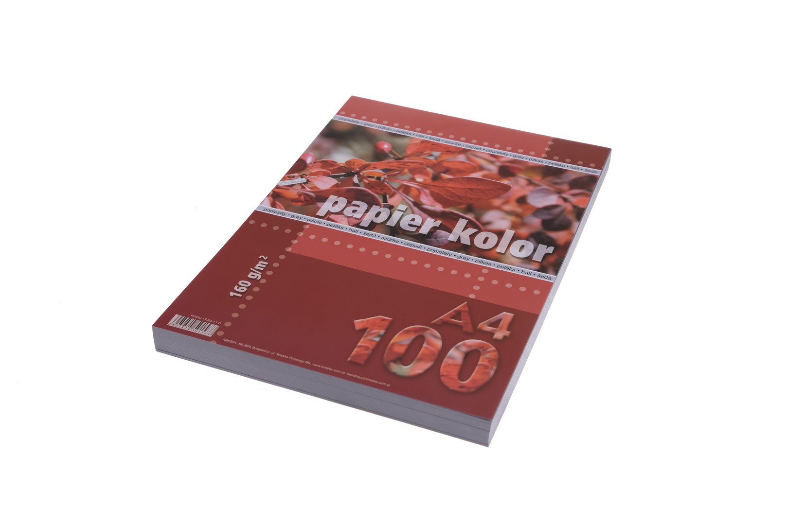 Papier ksero A4 160g 100ark. popielaty